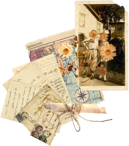 Vintage Photos & Dried Daisy