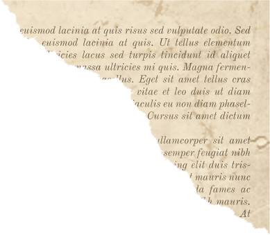 Ripped Book Page Paper