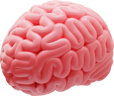 brain 3d illustration